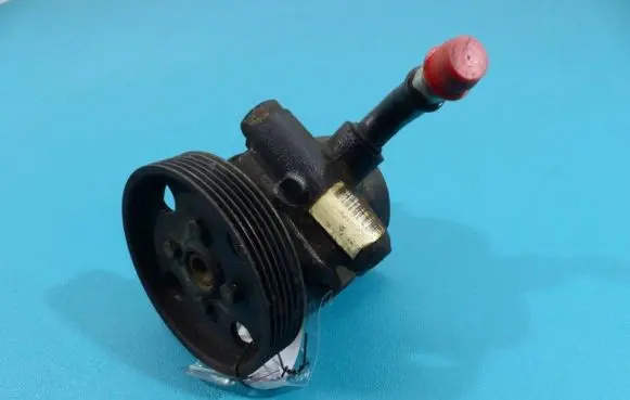 Electric power steering pump