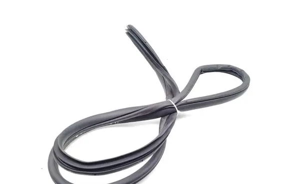 Hyundai Ioniq Rear door rubber seal (on body) 