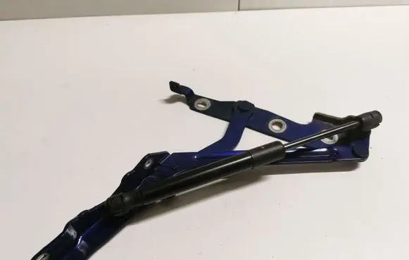 Ford Mustang V Tailgate/trunk/boot hinge