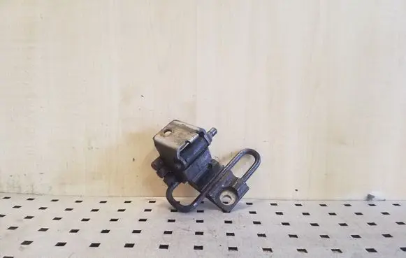 Audi A3 S3 8L Front door lower hinge 