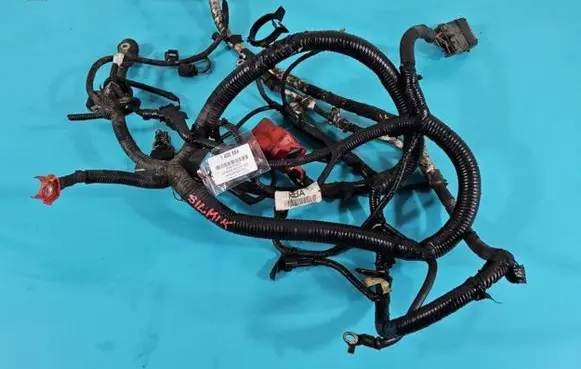 Engine installation wiring loom