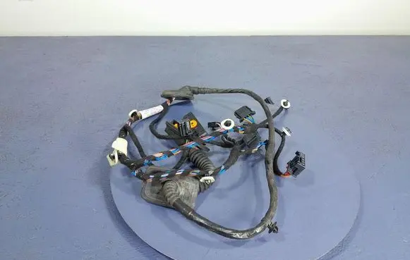 Other wiring loom