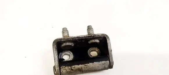 Tailgate/trunk/boot hinge