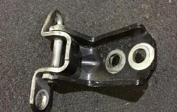 Rear door lower hinge