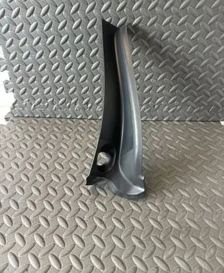 Rear/tail light trim molding