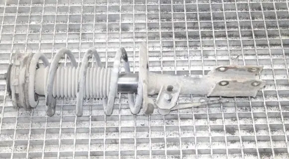Nissan Qashqai Front shock absorber/damper 54302BR00B