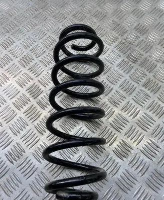 Rear coil spring