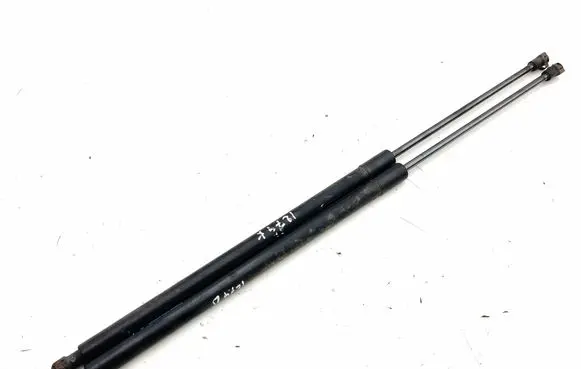 Tailgate/trunk strut/damper