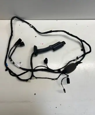 BMW X7 G07 Rear door wiring loom 1170610 06280561