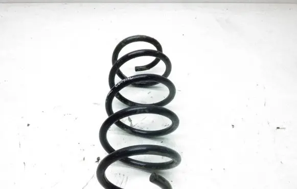 Rear coil spring