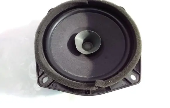 Rear door speaker