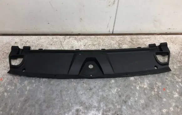 Engine bonnet/hood lock trim molding