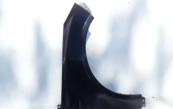 Ford Focus Fender