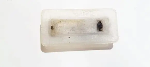 Rear seat light