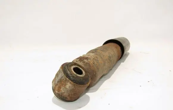 Fiat Doblo Rear shock absorber/damper