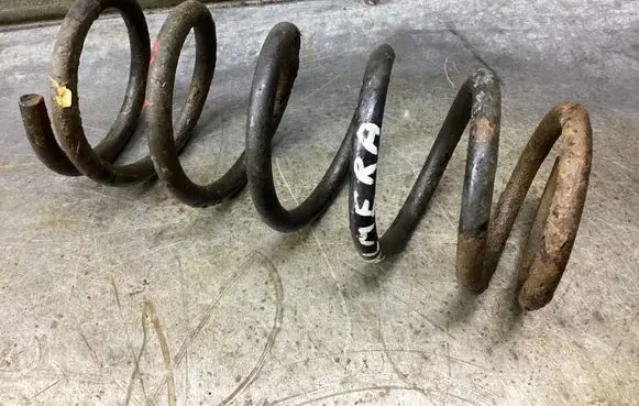 Rear coil spring