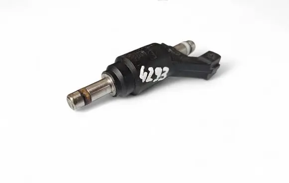Opel Vectra C Fuel injector 24404012 3860501