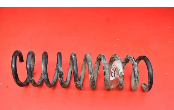 Ford Kuga I Rear coil spring 