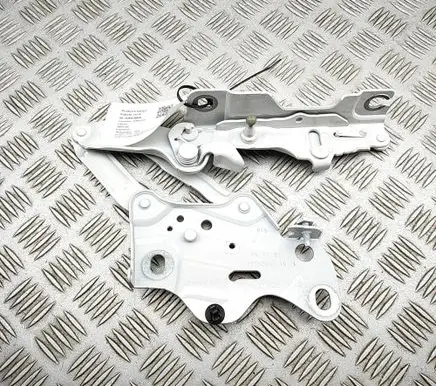 BMW X6 G06 Engine bonnet/hood hinges 7418201