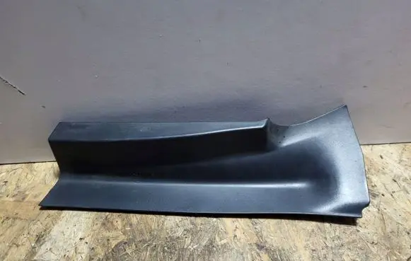 Rear/tail light trim molding