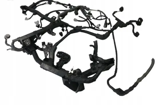 Toyota C-HR I Engine installation wiring loom