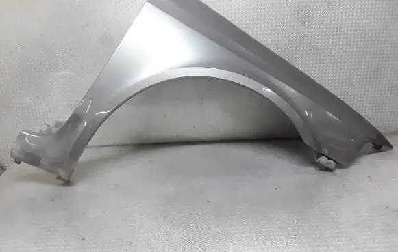 Renault Laguna II Fender