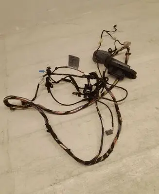 BMW X3 F25 Front door wiring loom 7252538 149726