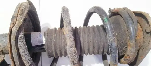 Toyota Corolla Verso AR10 Front coil spring
