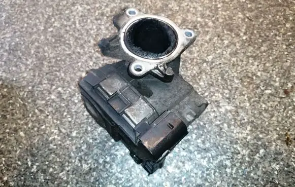 Fiat Doblo Throttle valve 55213019