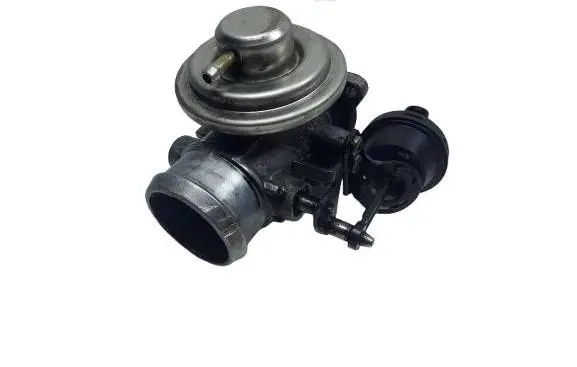 Volkswagen PASSAT B5 EGR valve 038131501D-kasacja 038131501D