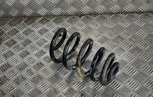 Rear coil spring