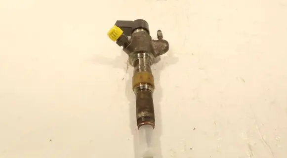 Citroen C5 Fuel injector 9674973080
