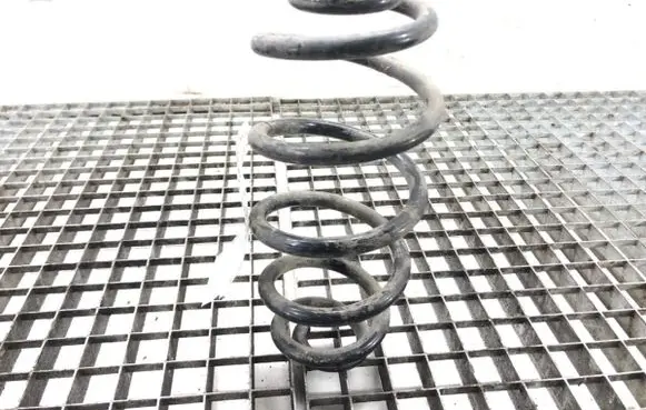 Rear coil spring