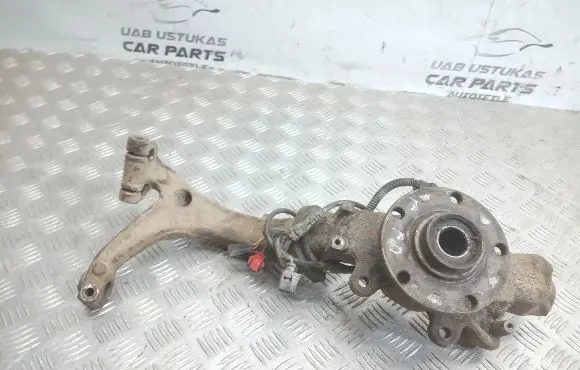 Volkswagen PASSAT B5.5 Front wheel hub spindle knuckle