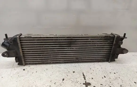 Renault Trafic II (X83) Intercooler radiator 