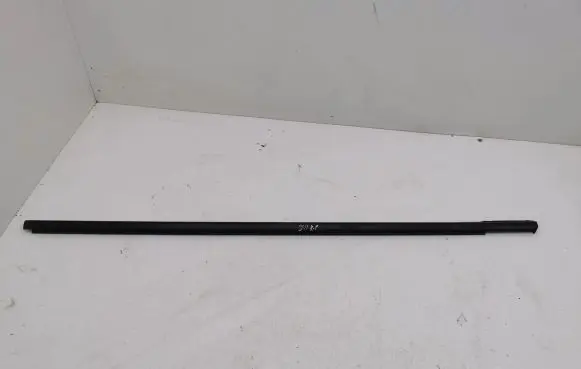 Front door glass trim molding