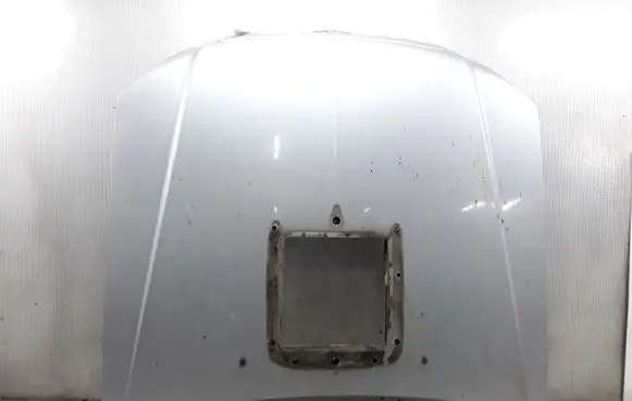 Hyundai Terracan Engine bonnet/hood