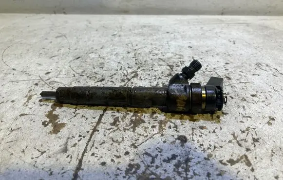 Mercedes-Benz B W245 Fuel injector 0445110167