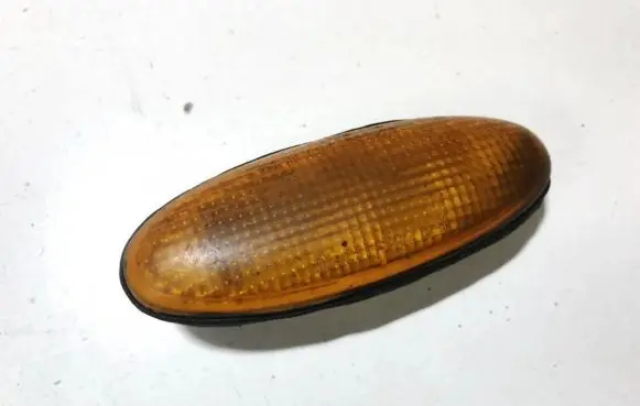 Front fender indicator light