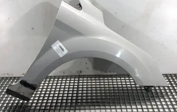 Ford Focus Fender