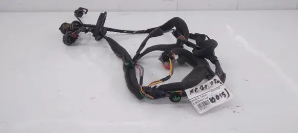Rear door wiring loom