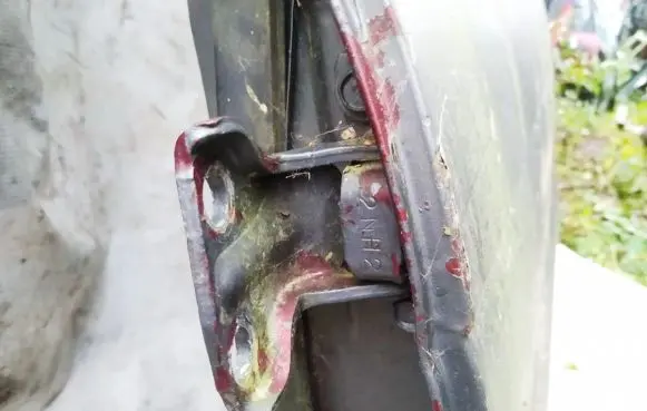 Rear door lower hinge