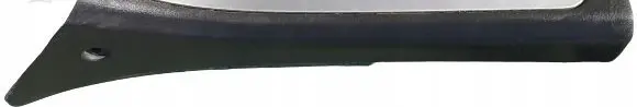 Infiniti FX Rear sill trim cover 76898CG000