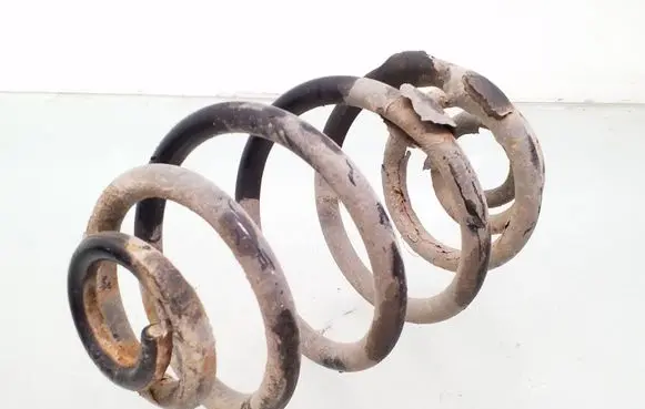 Volkswagen PASSAT B5 Rear coil spring