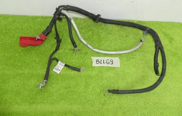 Opel Antara Positive cable (battery) 95931749