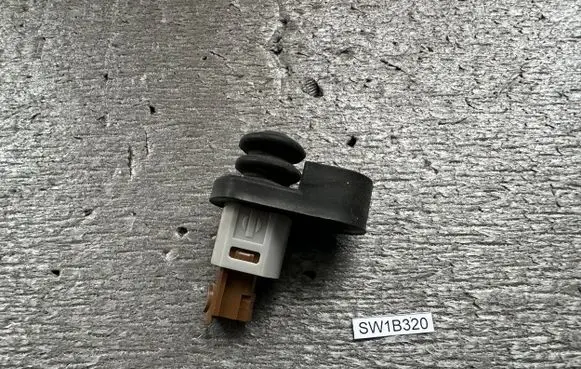 Tailgate opening switch