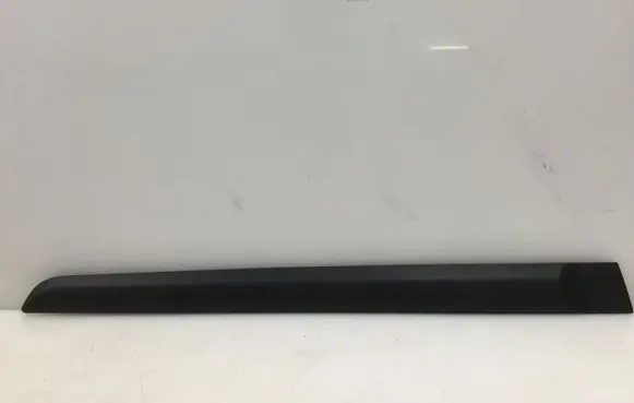 Nissan Note (E11) Rear door trim (molding) 