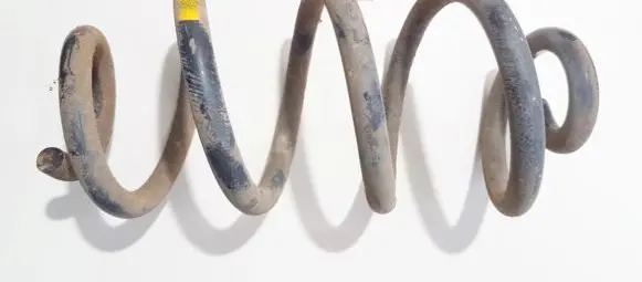 Nissan X-Trail T31 Rear coil spring
