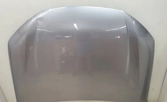 Engine bonnet/hood