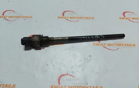 Renault Trafic II (X83) Oil level sensor A670535
